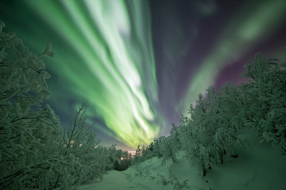 Nordlichter in Russland: Arktis-Abenteuer in Murmansk und Umgebung